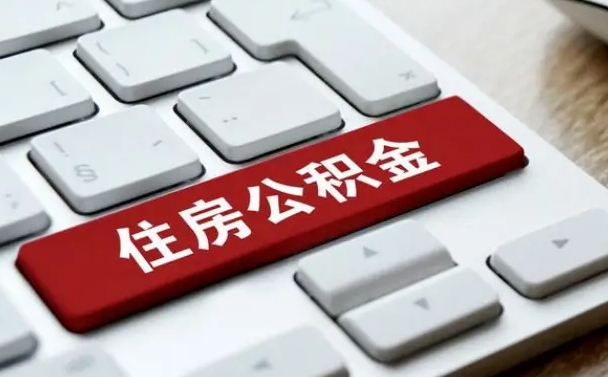 泽州公积金离职了怎么提（公积金离职了怎么提取出来）